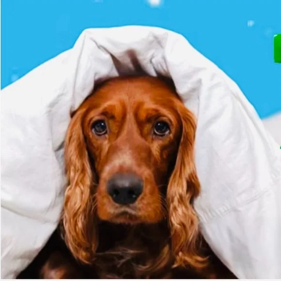 Extra shipping - Picture 1 of 1